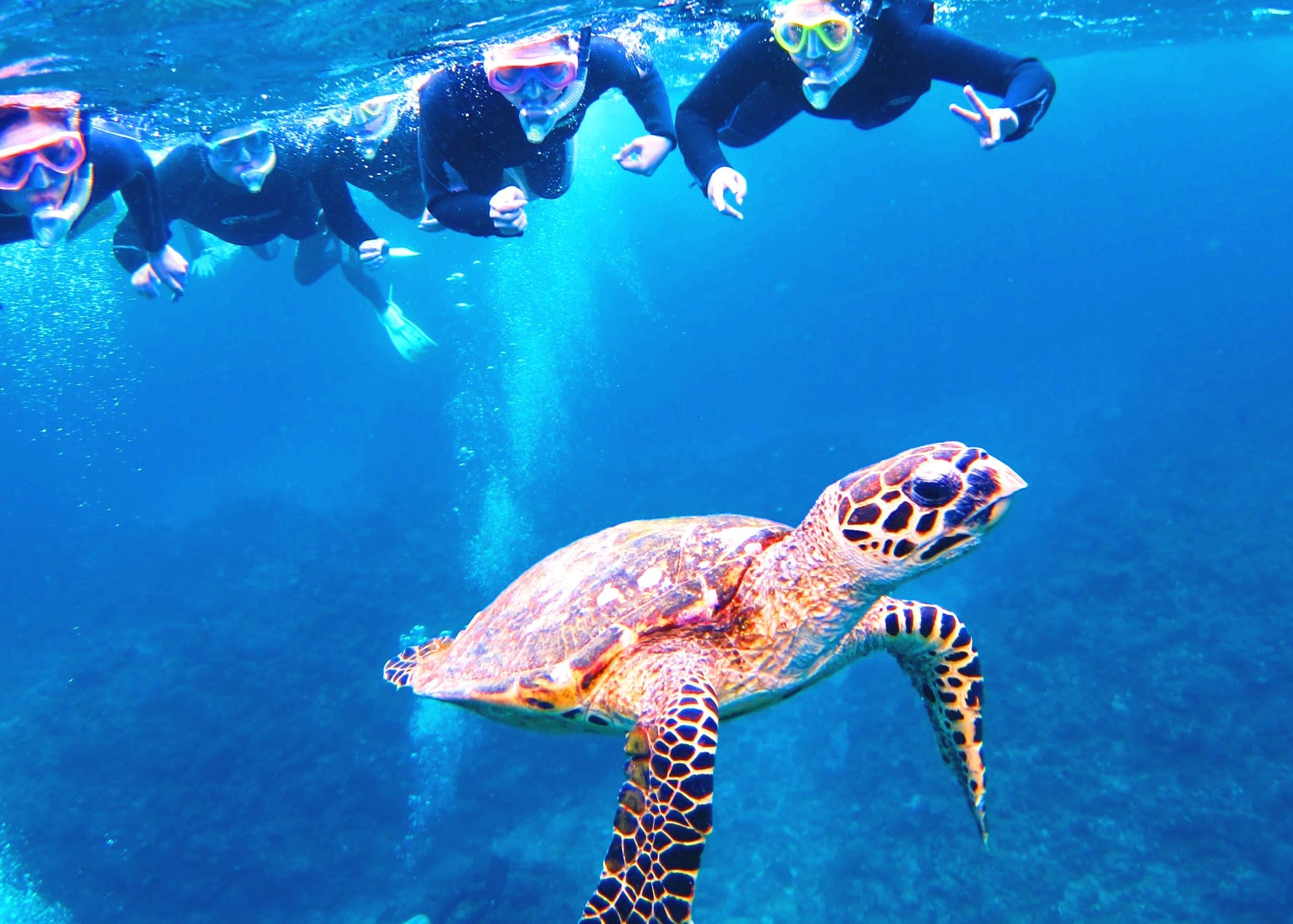 미야코지마 4월 액티비티