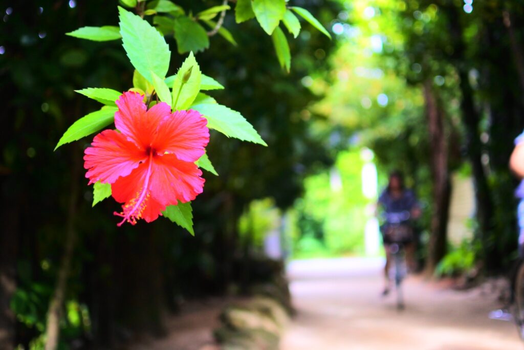 오키나와 자유여행 2박 3일 추천 코스