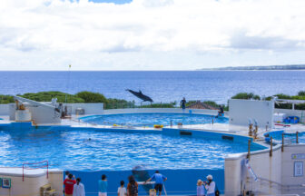무료로 즐길 수 있는 오키나와 여행지 5곳 명소 추천 해양박물관 기념공원 아메리칸빌리지 우미카지테라스 과보반타 자카미성터