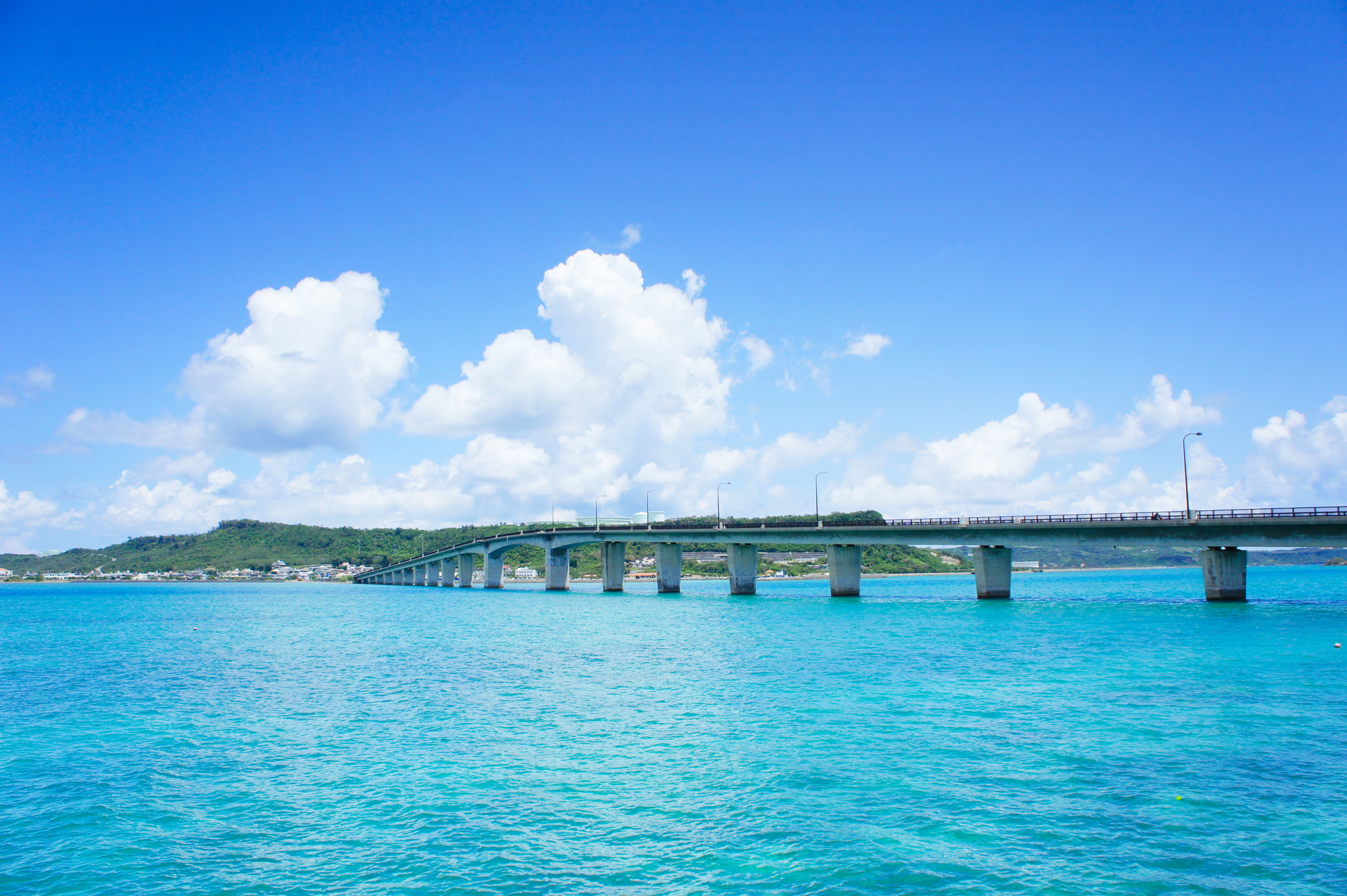 오키나와 1월 날씨 드라이브 코스