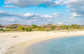 21세기의 숲 비치 좌측 해변의 모습이다.