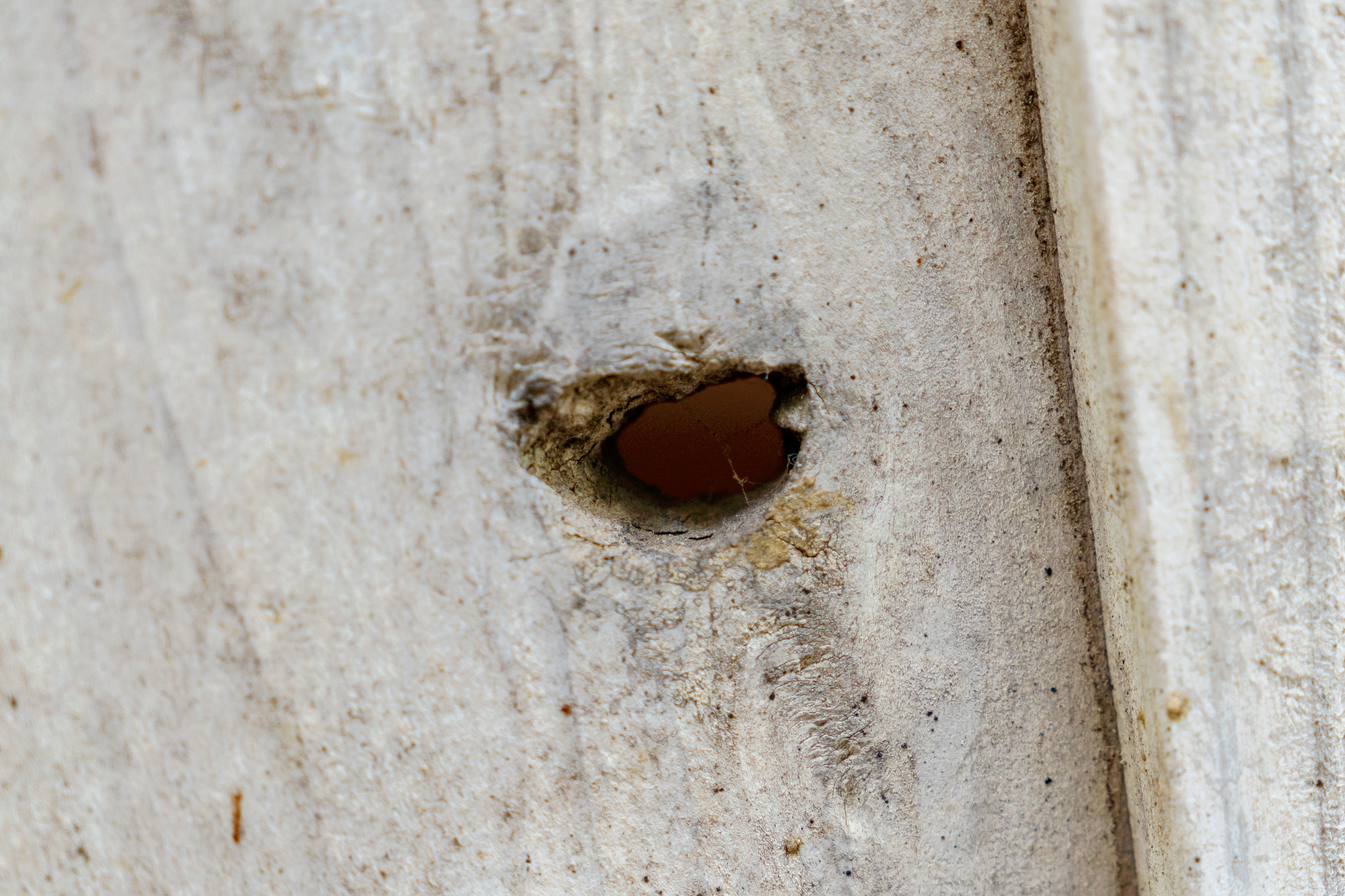 오키나와 자유여행 시키나엔 구멍난 벽