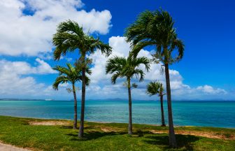 오키나와 12월 날씨 옷차림 액티비티