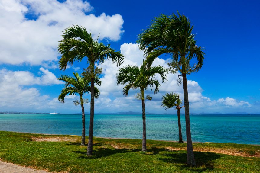 오키나와 12월 날씨 옷차림 액티비티