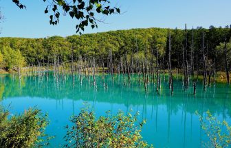 홋카이도 9월 날씨 옷차림 준비물 렌터카